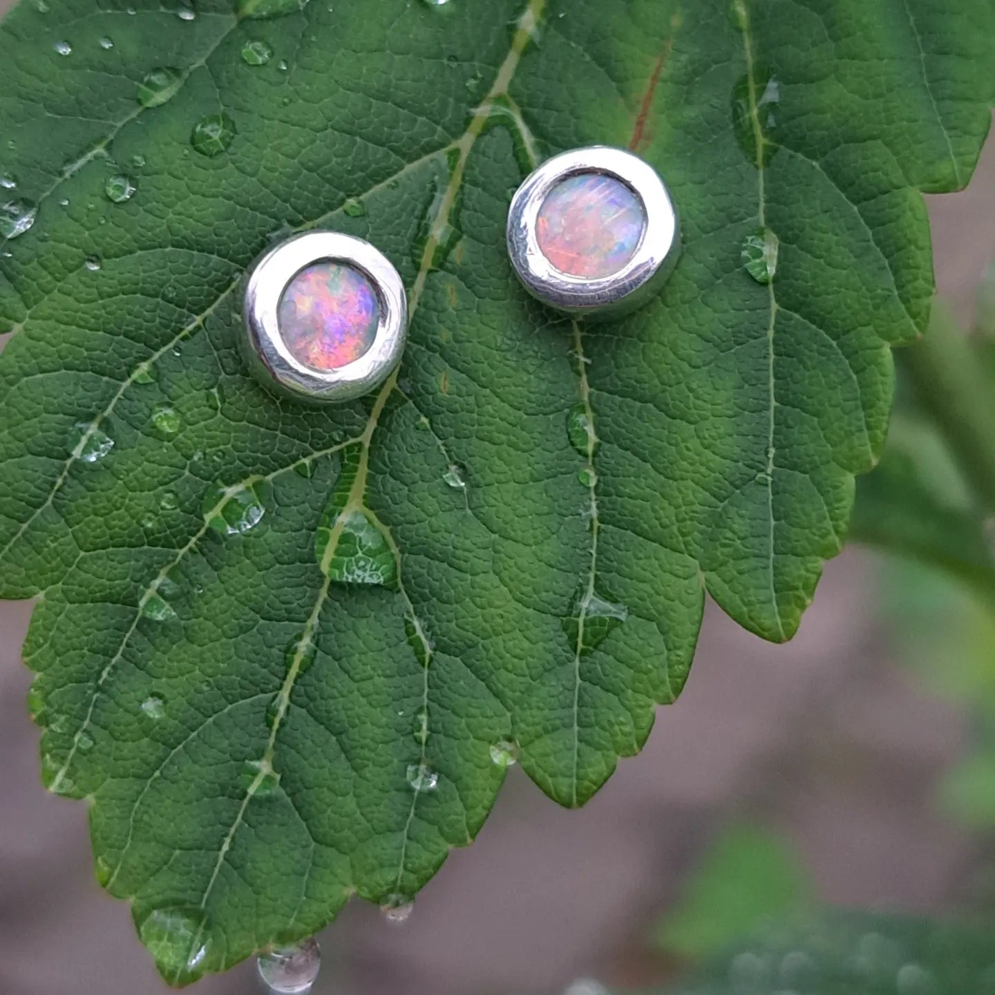 Australian opal, silver studearrings