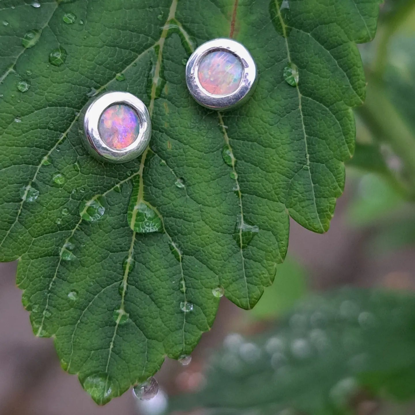 Australian opal, silver studearrings